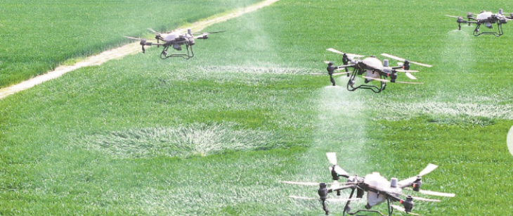 新宝GG—创立事业平台在线登录