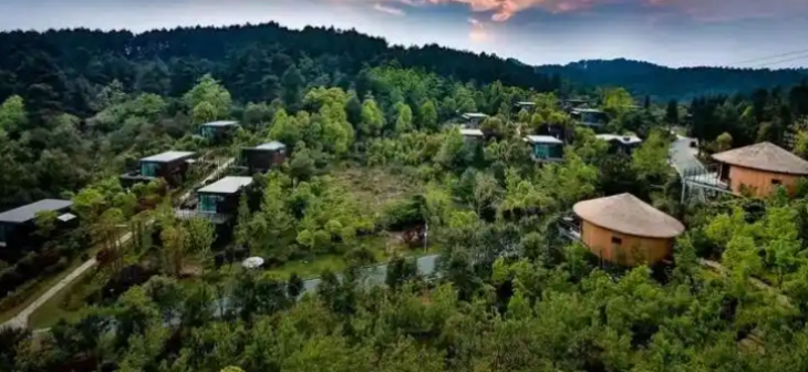 新宝GG—创立事业平台在线登录