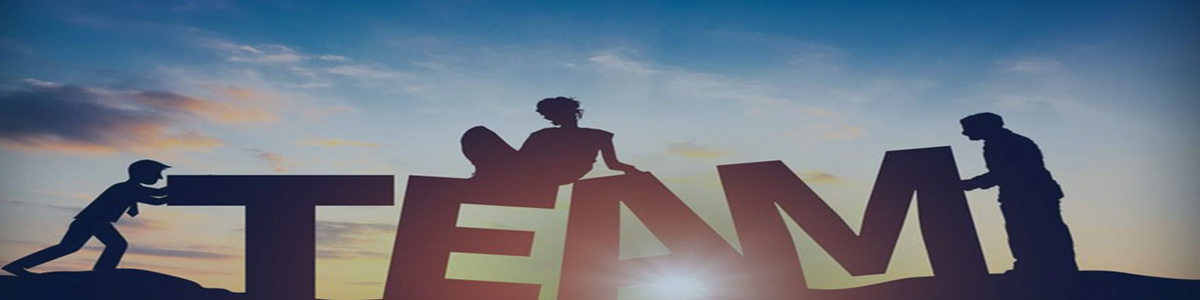 新宝GG咨询团队